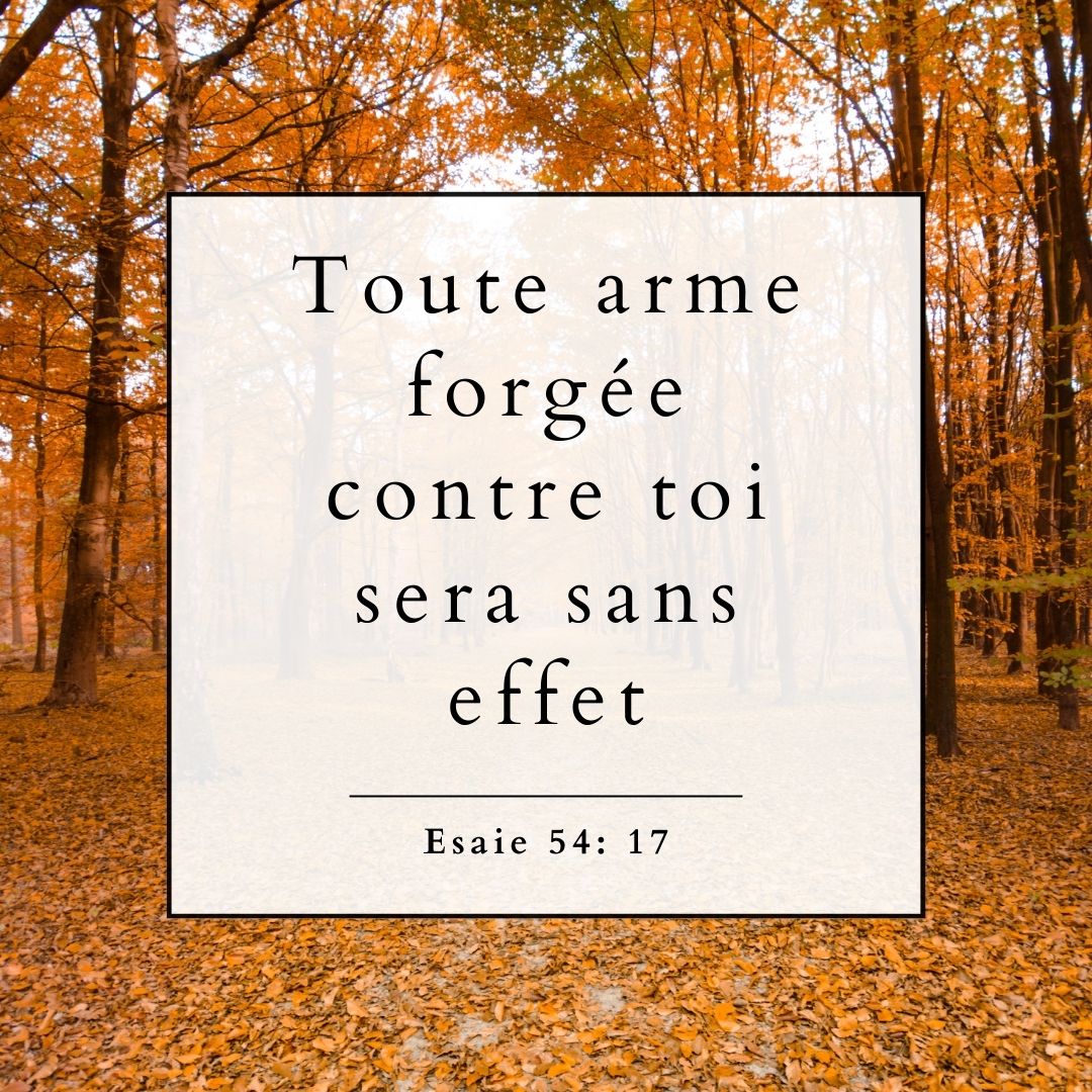 Tote Bag Éveil des saisons: Automne